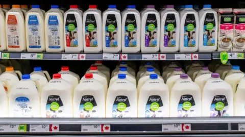 Getty Images A row of milk jugs displayed at a Canadian shop, showing prices ranging from $7 to $10. The price tags each have a red maple leaf next to them, signifying that the product is Canadian.