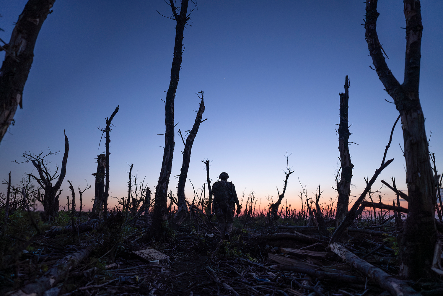 A lone soldier in combat fatigues is seen from behind as he walks through a barren forest at dusk, surrounded by splintered, leafless tree trunks, with most of their branches blown off.