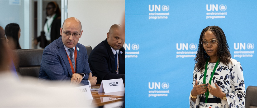 Speakers at the roundtable