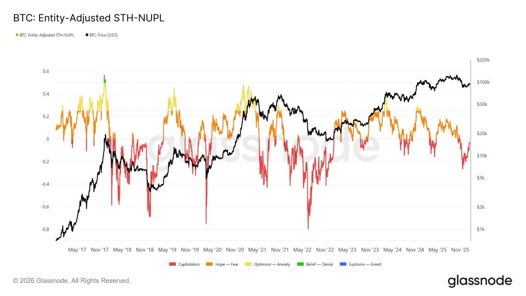 Bitcoin's New Buyers - Entity-Adjusted STH-NUPL