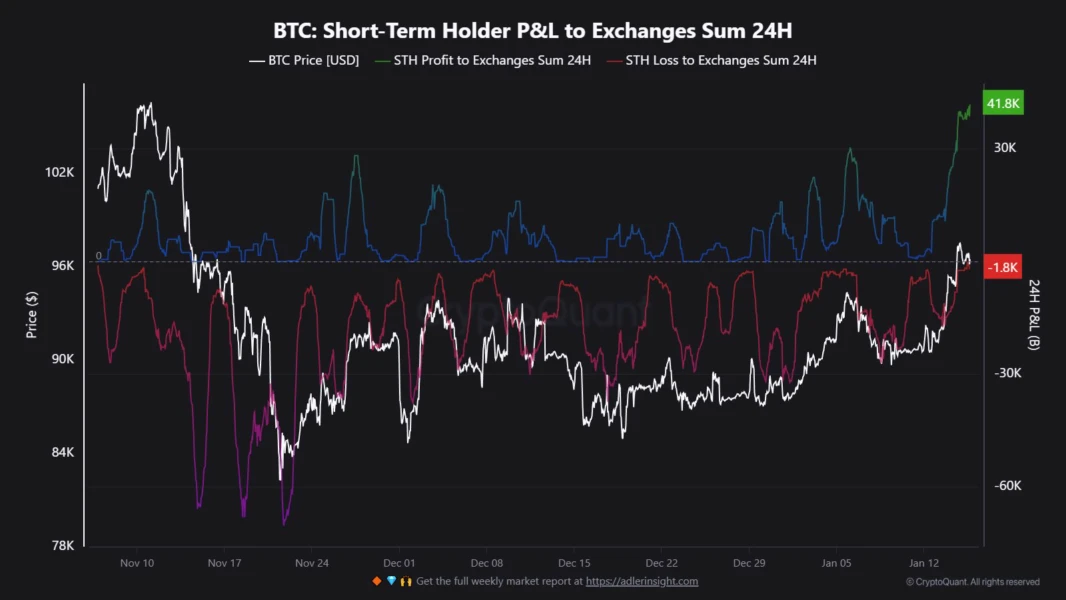 Bitcoin STH P&L