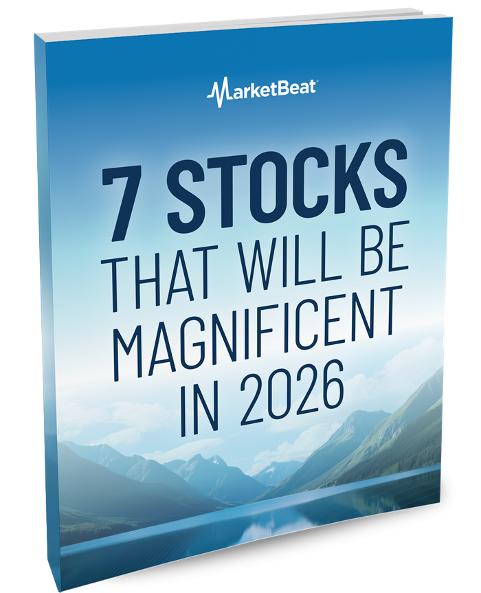 7 Stocks That Will Be Magnificent in 2026 Cover