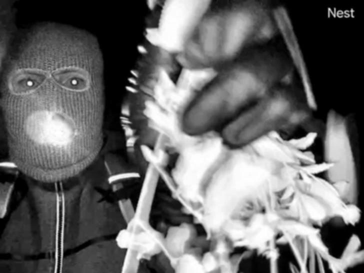 Nancy Guthrie Abduction Potential Suspect 2