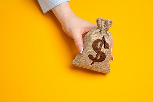 A hand holds out a dollar money bag Concept to earn income To receive salary or payments To pay or to buy To donate funds to charity Financial gain and support,Income opportunities,Ukraine